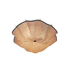 FLOS Celestia Ceiling Lamp 㲼ˇ픟CG-X697|F(xin)(jng)|픟|kҾ